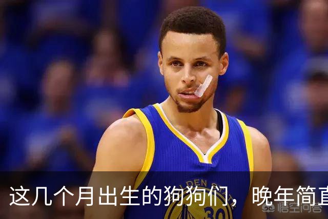 这几个月出生的狗狗们，晚年简直幸福满满，腰包渐鼓！